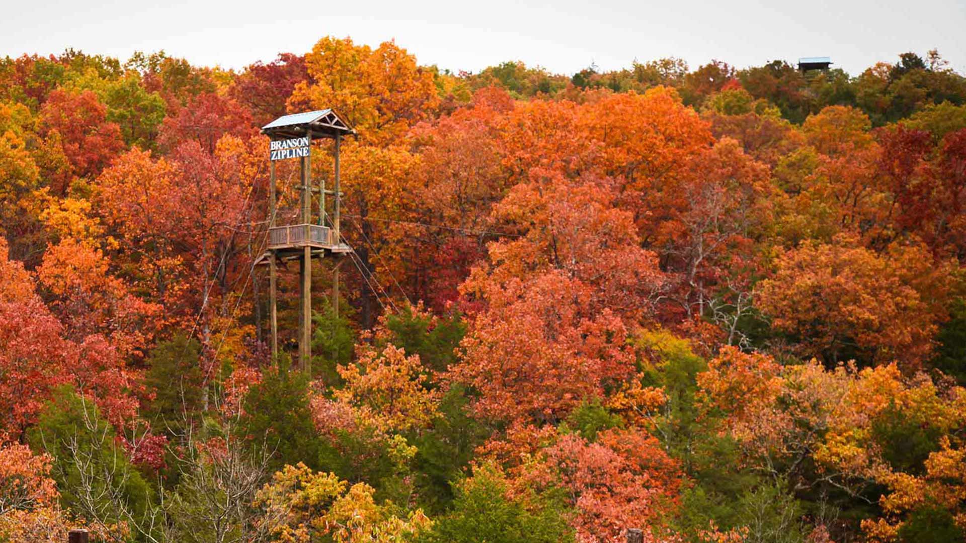 A tower at Branson Zipline surrounded by trees with orange leaves